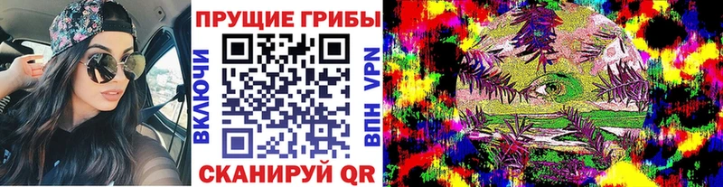 Псилоцибиновые грибы Magic Shrooms Дорогобуж